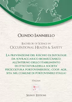 Thesis Olindo Ianniello