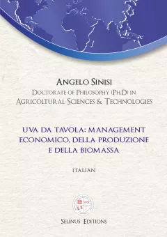 Thesis Angelo Sinisi